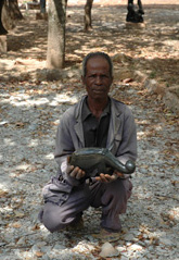 Biriyo Fernandez